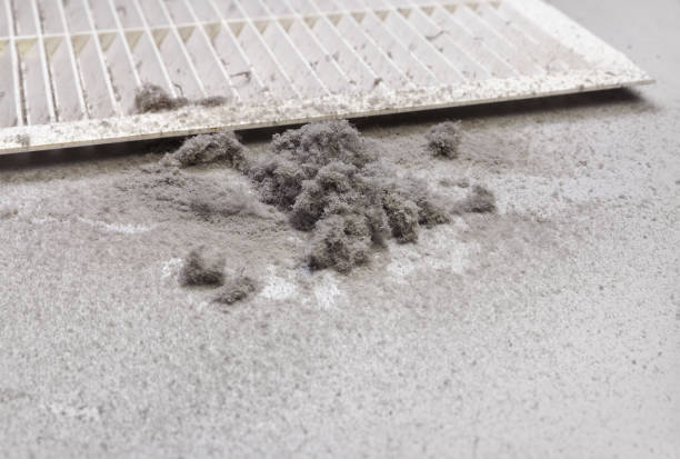 Best Affordable Air Duct Cleaning  in Pasatiempo, CA