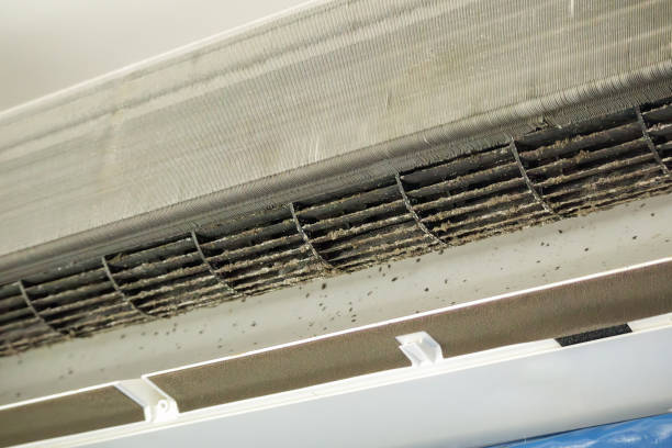 Best Dryer Vent Cleaning Services  in Pasatiempo, CA